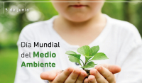 Día Mundial del Medio Ambiente - Concurso