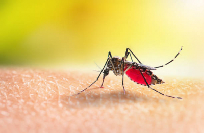Recomendaciones para prevenir el dengue
