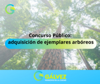Concurso Público: adquisición de ejemplares arbóreos