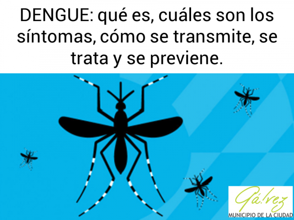 Dengue: Información Importante